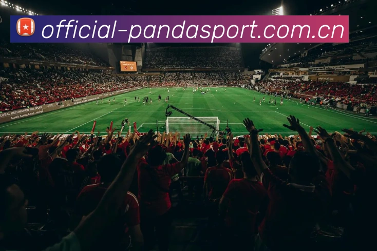 多媒体互动体验