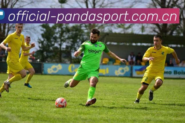 熊猫体育APP 体育赛事宣传图